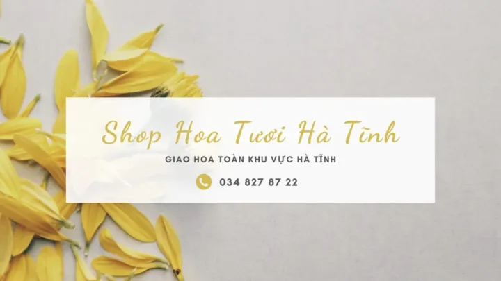 Shop hoa tươi Hà Tĩnh