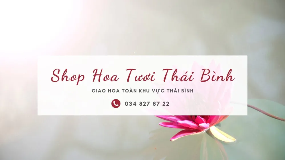 Shop hoa tươi Thái Bình