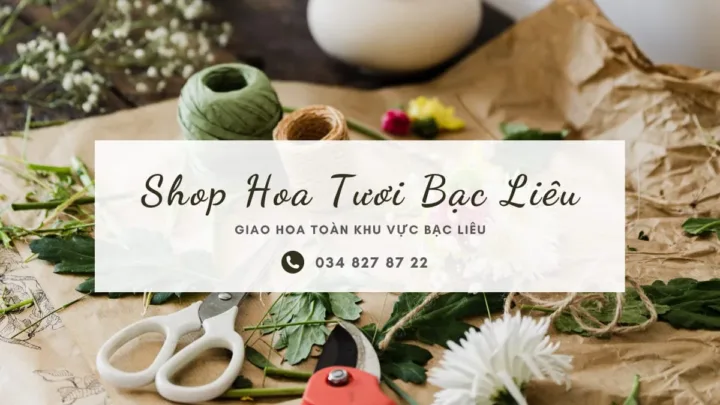 Shop hoa tươi Bạc Liêu
