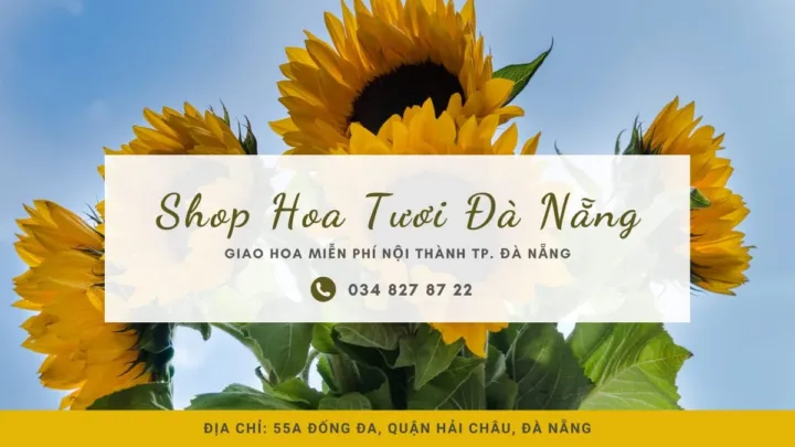 Shop Hoa Tươi ở Đà Nẵng