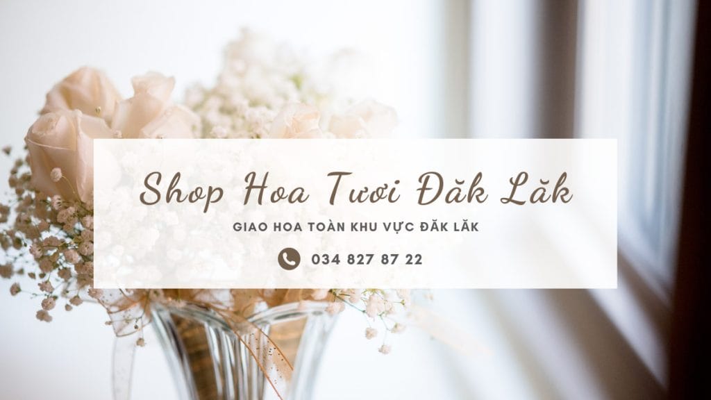shop hoa tuoi dak lak Shop hoa tươi Đăk Lăk - trao cánh hoa mềm giao ngàn yêu thương