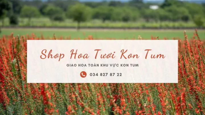 Shop hoa tươi Kon Tum