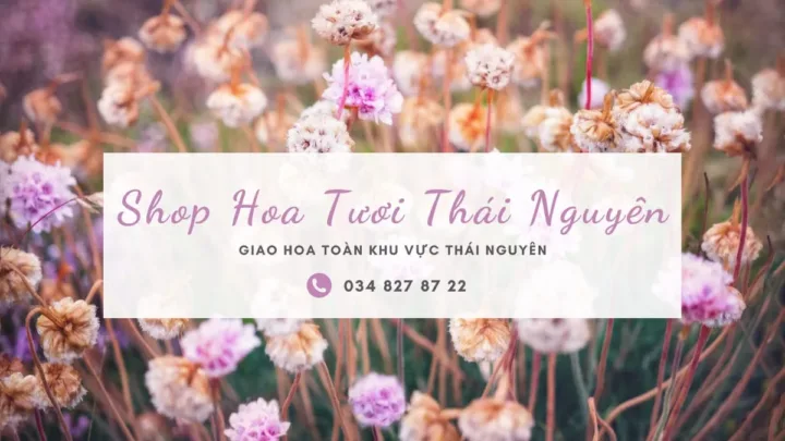 Shop hoa tươi Thái Nguyên