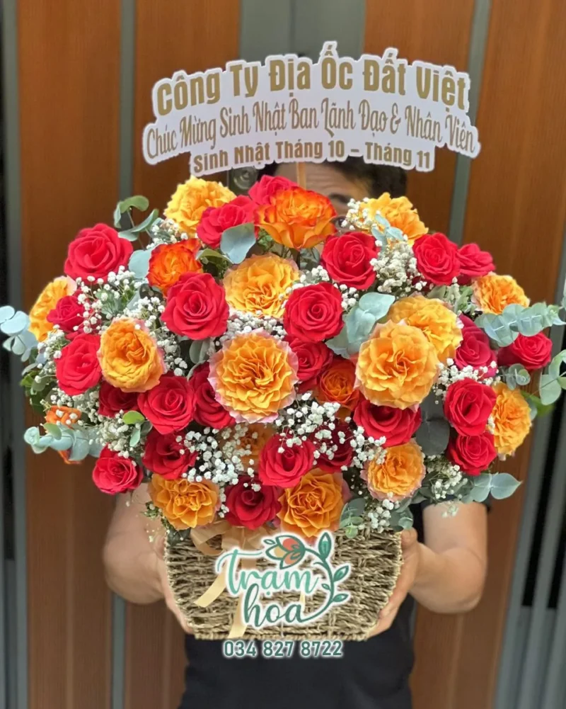 Khúc Ca Sắc Màu