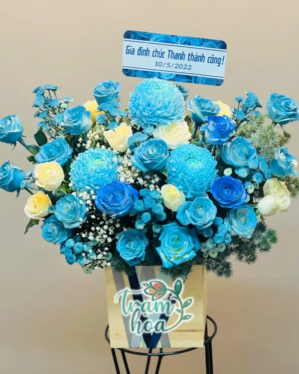 Khởi Đầu Mới