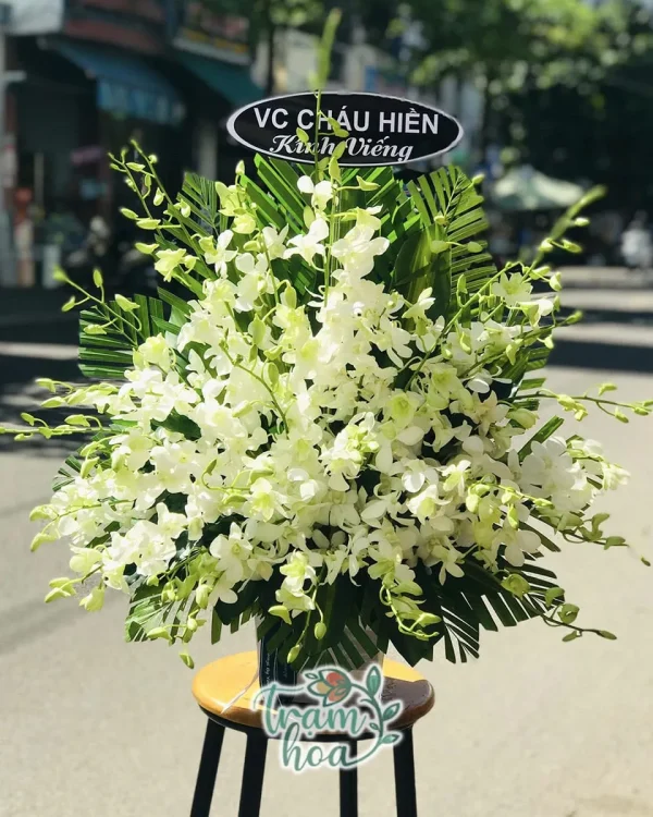 Hoa Viếng Để Bàn