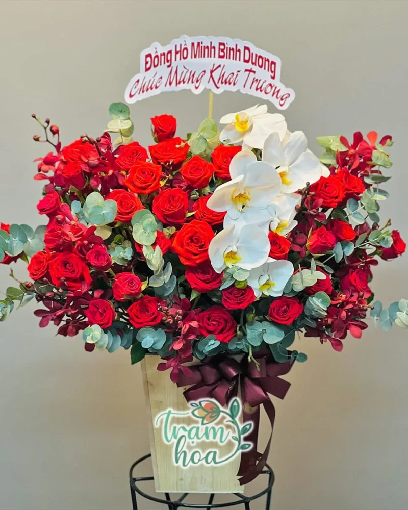 Lẵng hoa khai trương sang trọng - Khúc Khải Hoàn H040