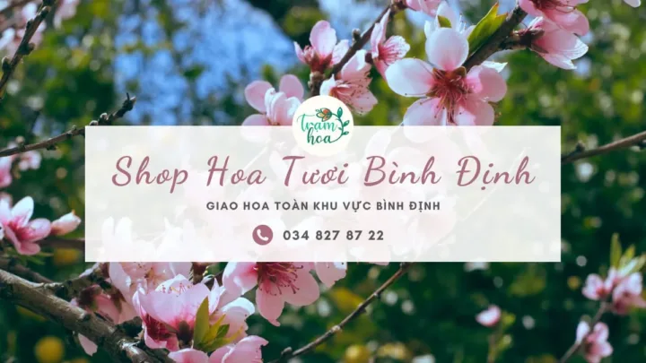 Shop hoa tươi Bình Định