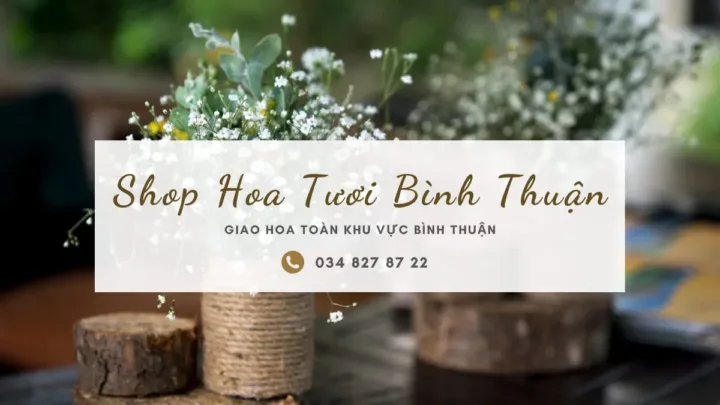 Shop hoa tươi Bình Thuận