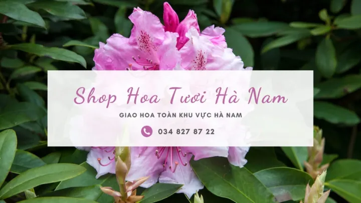 Shop hoa tươi Hà Nam