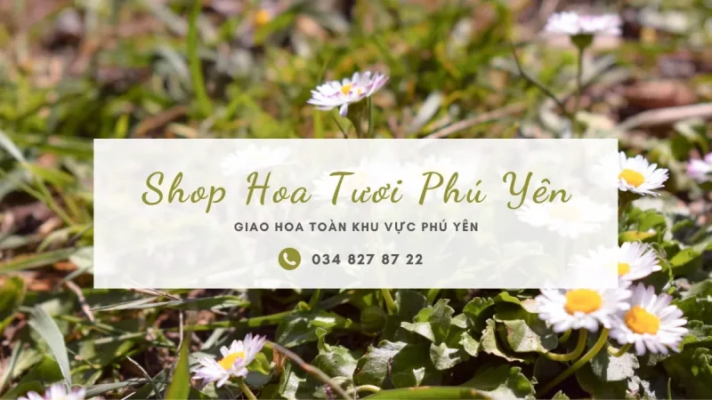 Shop hoa tươi Phú Yên