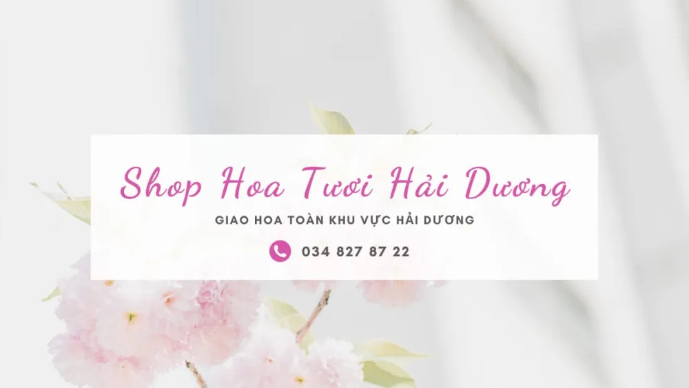 Shop hoa tươi Hải Dương