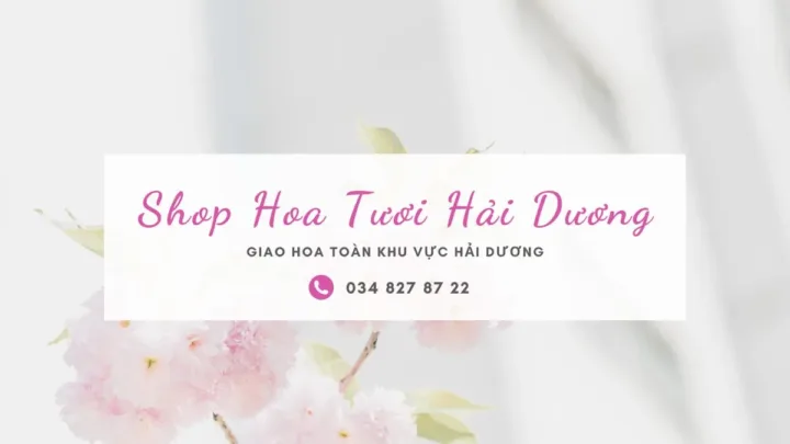 Shop hoa tươi Hải Dương