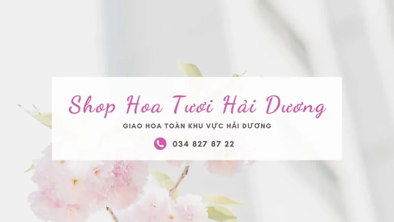 Shop hoa tươi Hải Dương