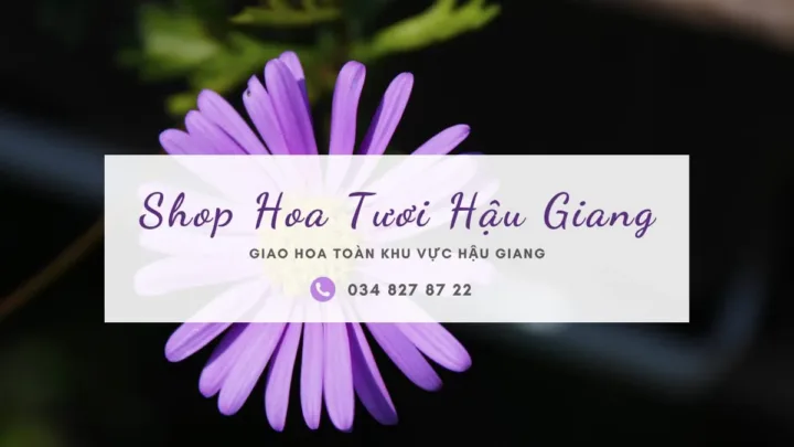 Shop hoa tươi Hậu Giang