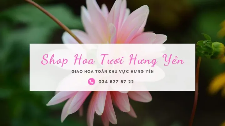 Shop hoa tươi Hưng Yên