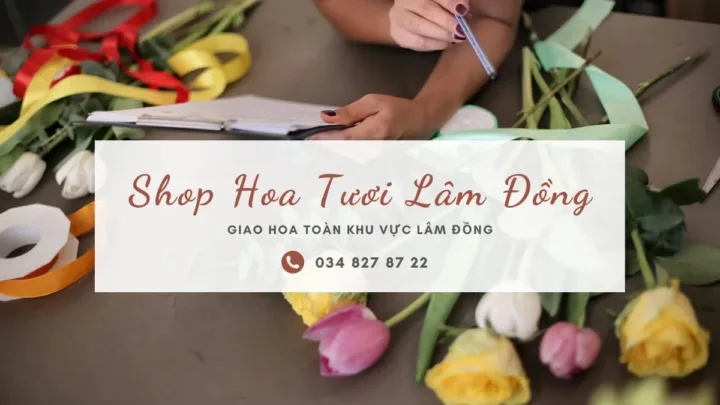 Shop hoa tươi Lâm Đồng