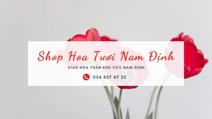 Shop hoa tươi Nam Định