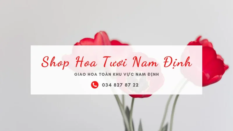 Shop hoa tươi Nam Định