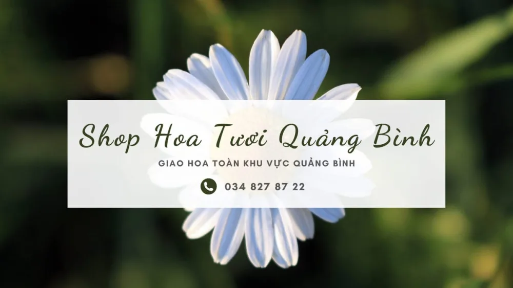 Shop hoa tươi Quảng Bình
