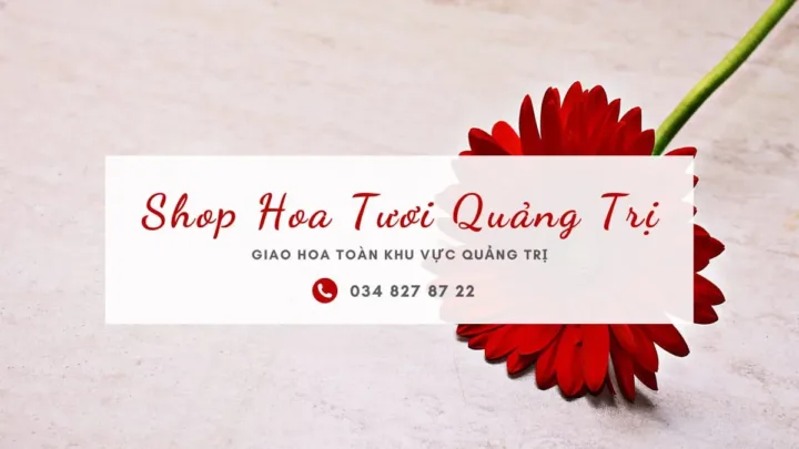 Shop hoa tươi Quảng Trị