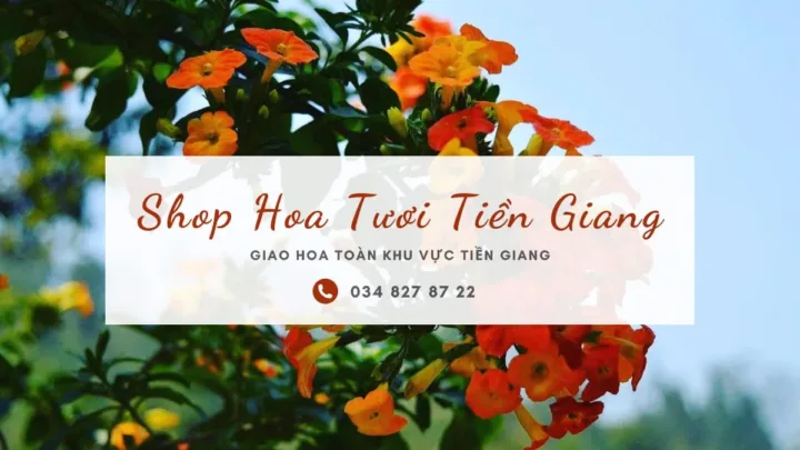 Shop hoa tươi Tiền Giang
