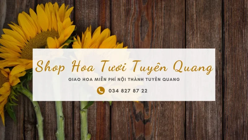 Shop hoa tươi ở Tuyên Quang
