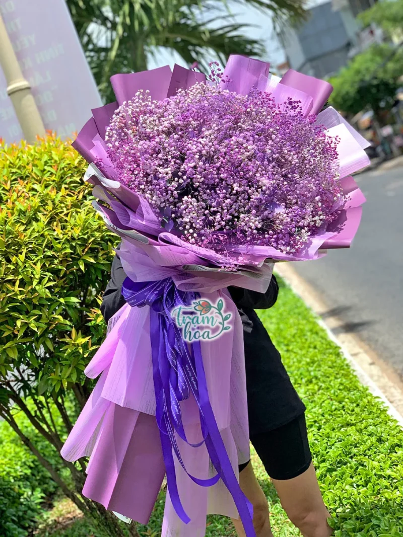 Bó hoa baby tím khổng lồ