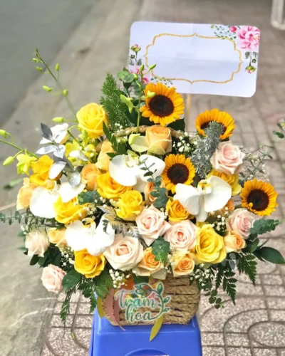 Khoảng Trời Mơ Ước