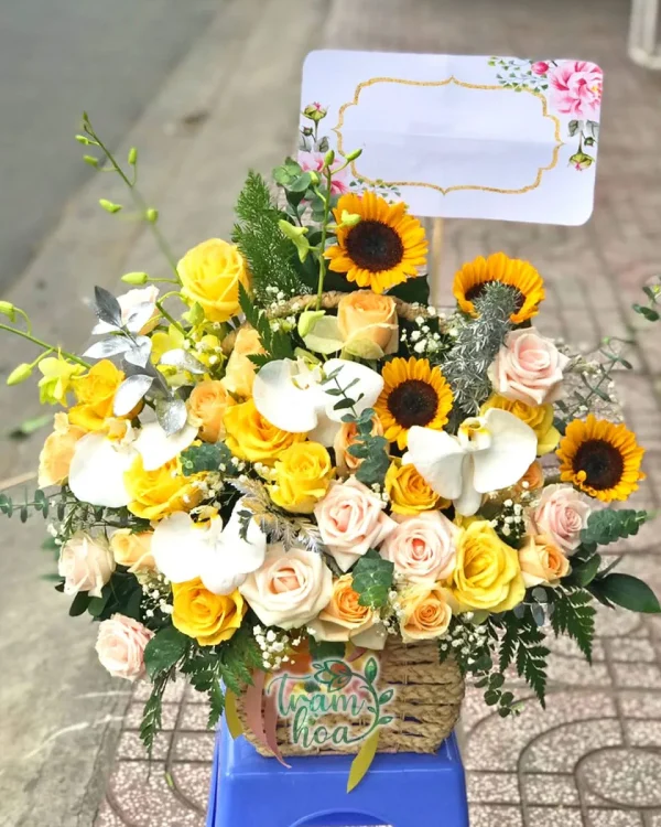 Khoảng Trời Mơ Ước