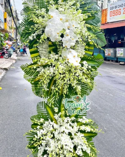 Khúc Ca Du Dương