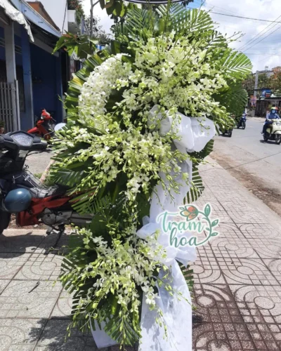 Nguyện Cầu
