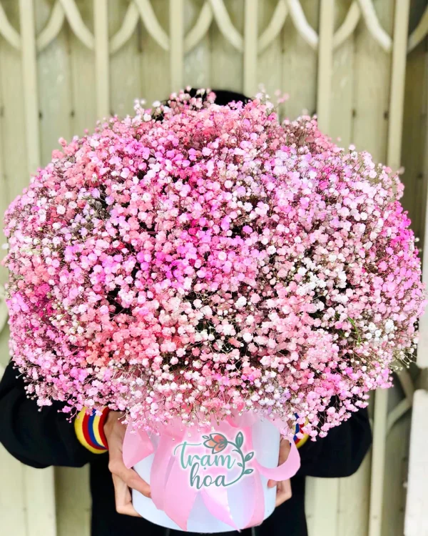 Lẵng Hoa Baby Hồng