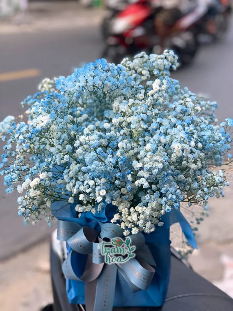 Tuổi Xanh H017 – Lẵng Hoa Baby Xanh Dương Dịu Dàng & Tinh Khiết
