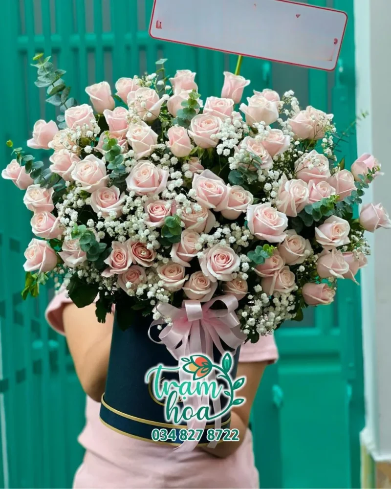 Vững Chãi