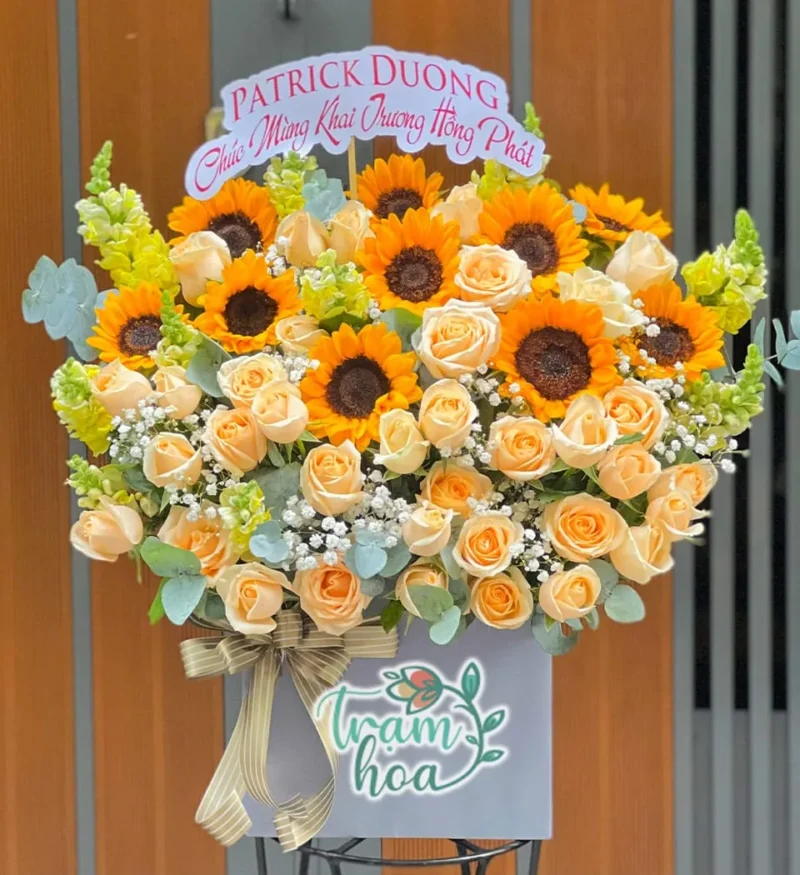 Nắng Ban Mai
