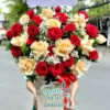 Sức Sống Mới