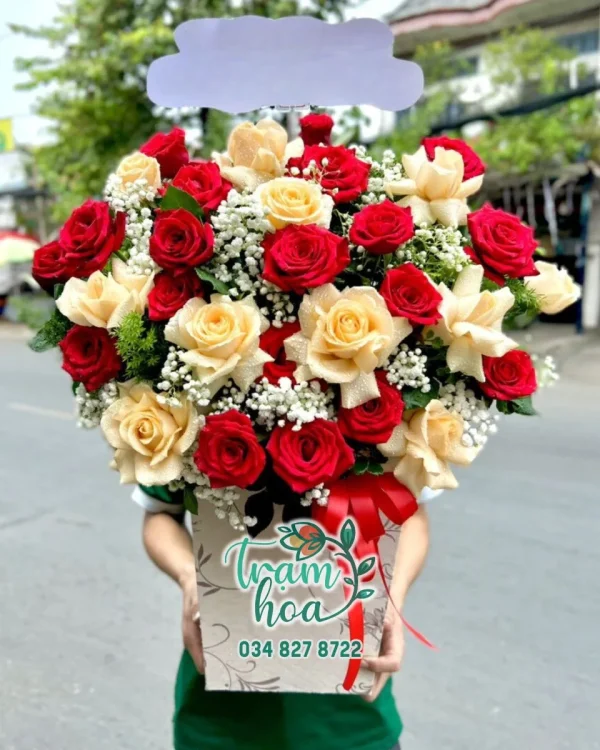 Sức Sống Mới