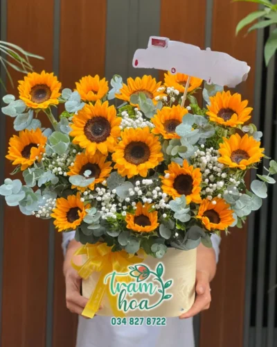 Lẵng hoa hướng dương để bàn