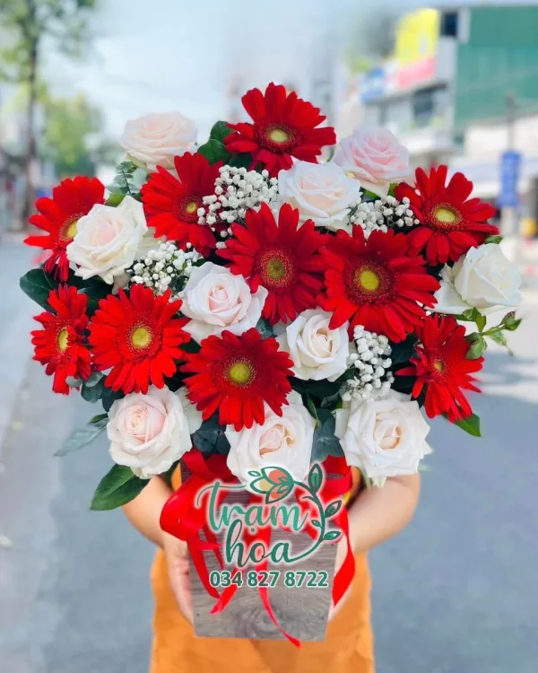 Mộng Mơ