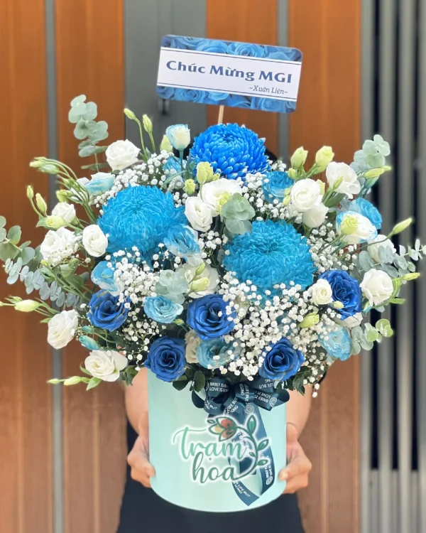Sớm Mai Rực Rỡ