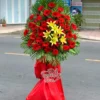Hòa Hợp
