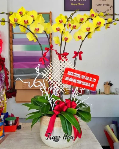 Vinh Danh (5 Cành)