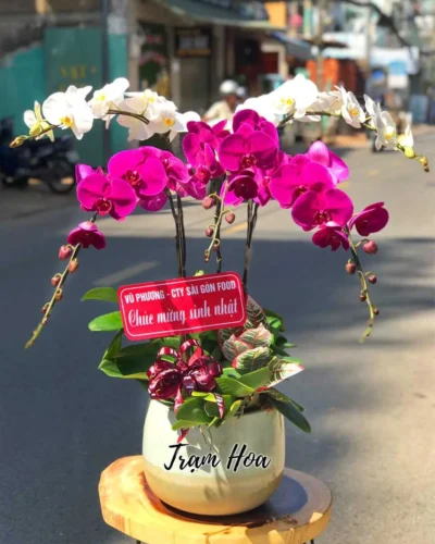 Đối Xứng