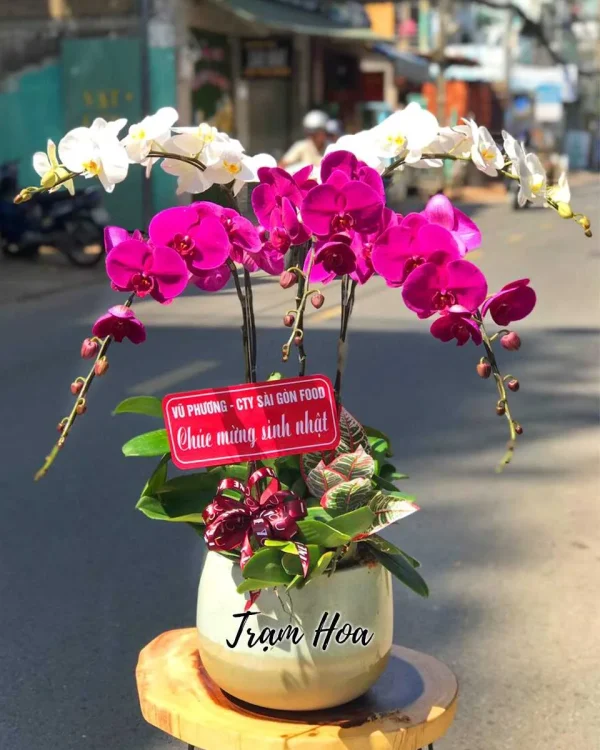 Đối Xứng