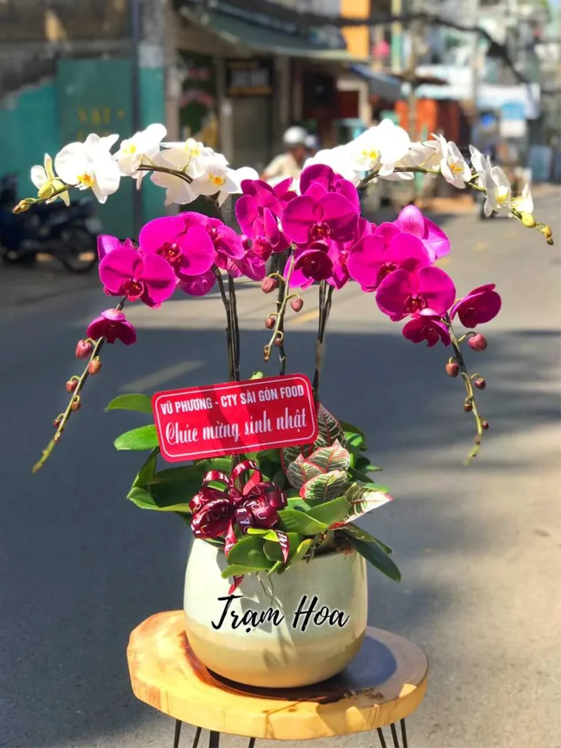 Đối Xứng