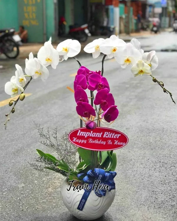 An Nhiên