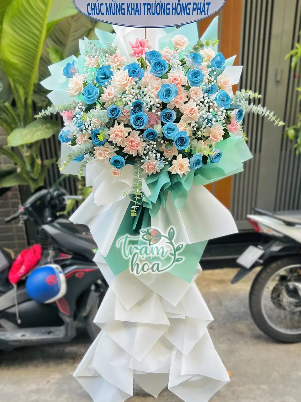 ke hoa khai truong kt094 bien xanh 2 ke hoa khai truong kt094 bien xanh 2