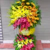 Danh Vọng