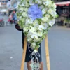Tiễn Bước